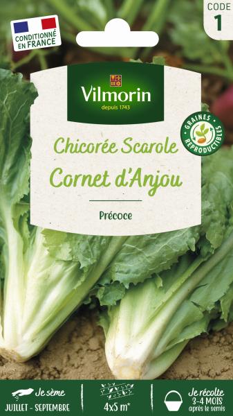 Potagères - Chicorée Scarole Cornet d'Anjou - PACKAGING_RECTO